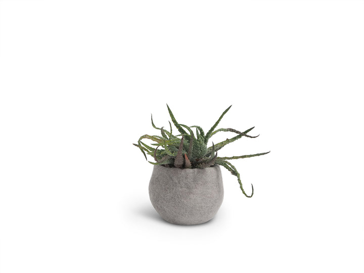 FLOWER POT 16, S