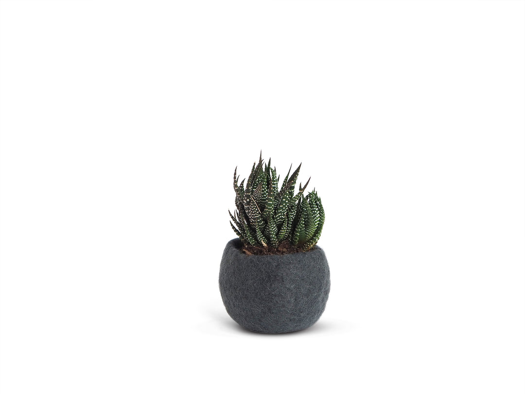FLOWER POT 16, S