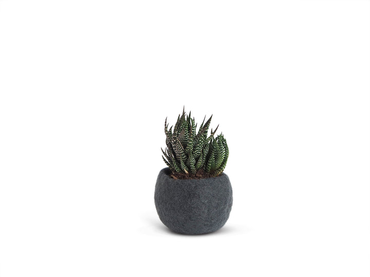 FLOWER POT 16, S