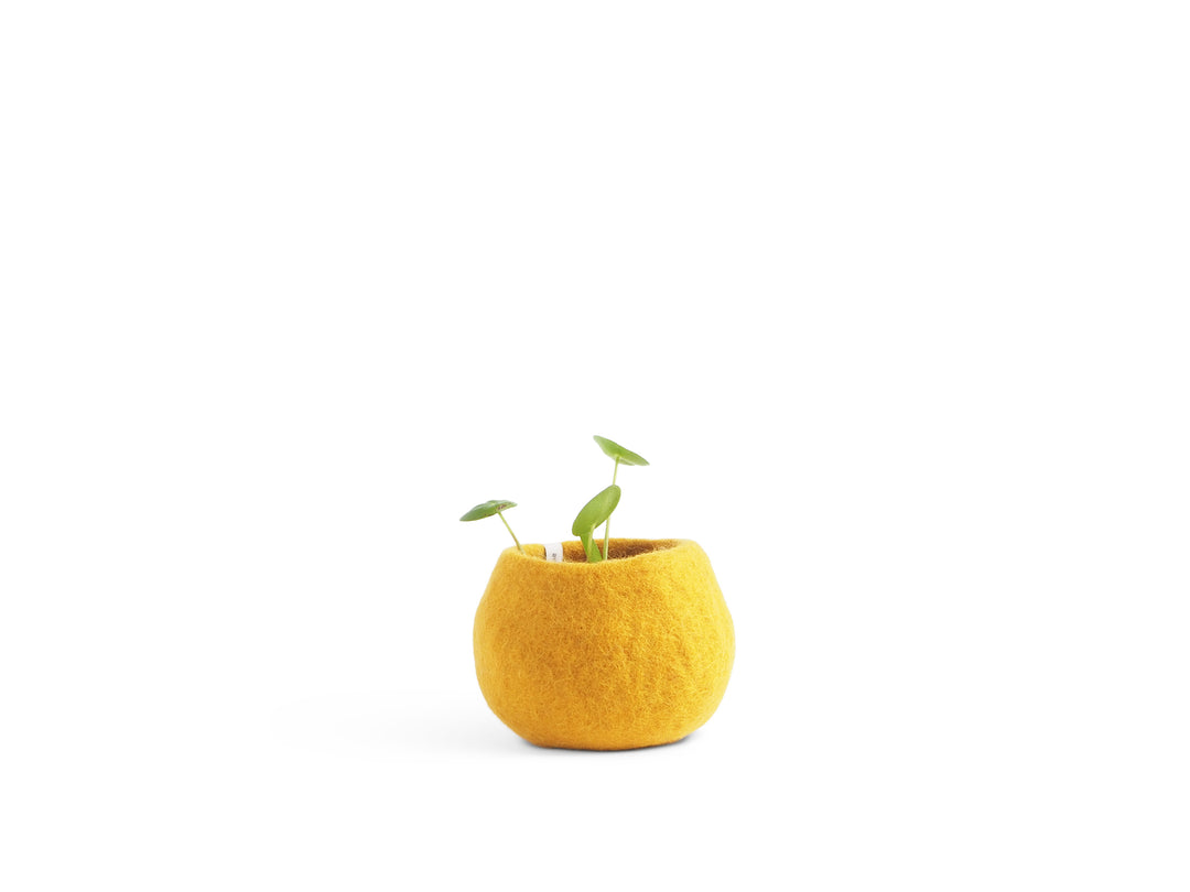 FLOWER POT 16, S