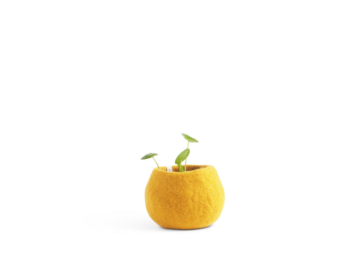 FLOWER POT 16, S