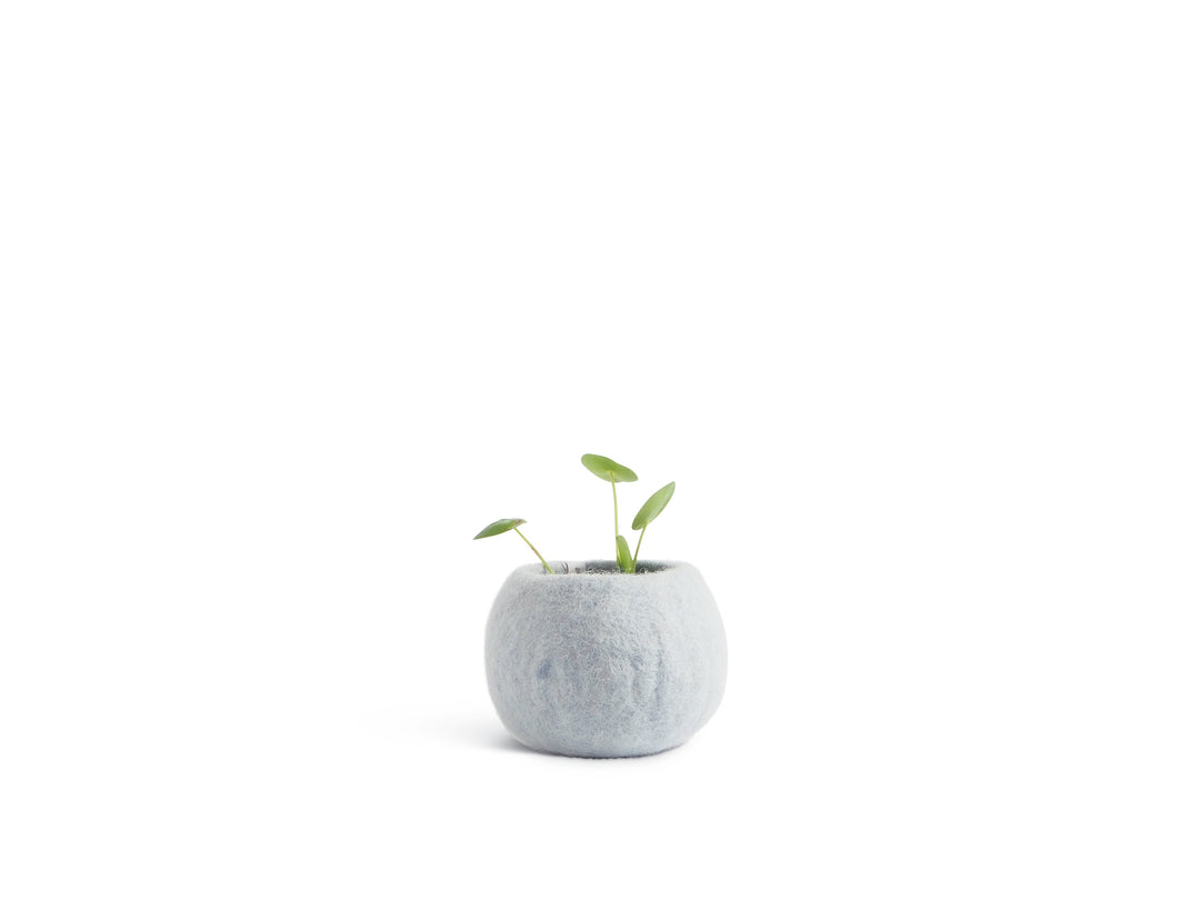 FLOWER POT 16, S