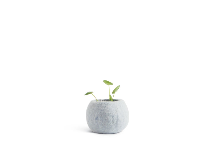 FLOWER POT 16, S