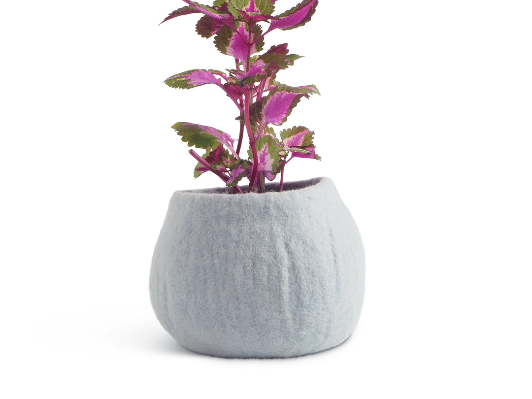 FLOWER POT 16, M