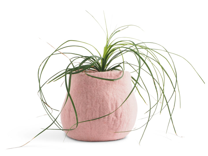 FLOWER POT 16, M