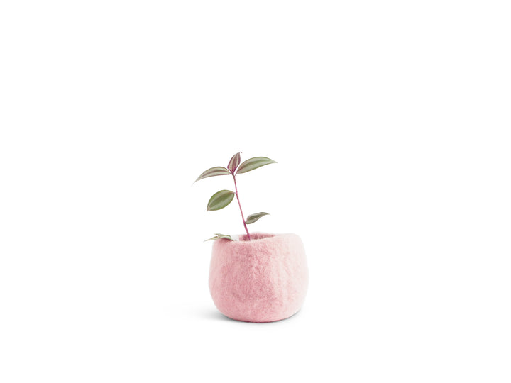 FLOWER POT 16, S