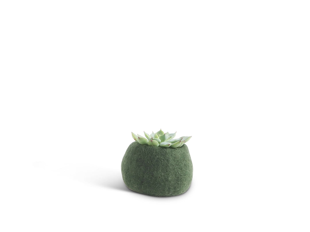 FLOWER POT 16, S