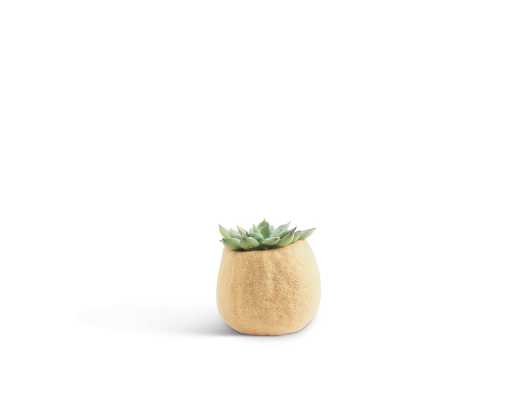 FLOWER POT 16, S
