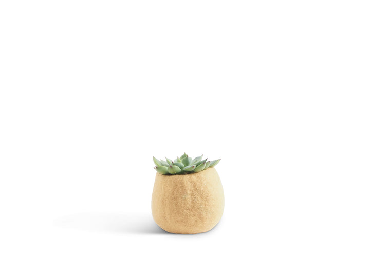 FLOWER POT 16, S