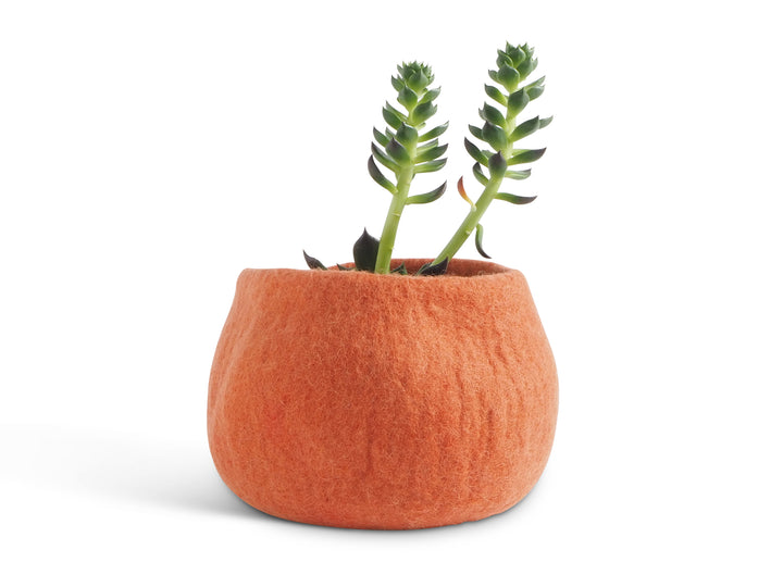 FLOWER POT 16, M