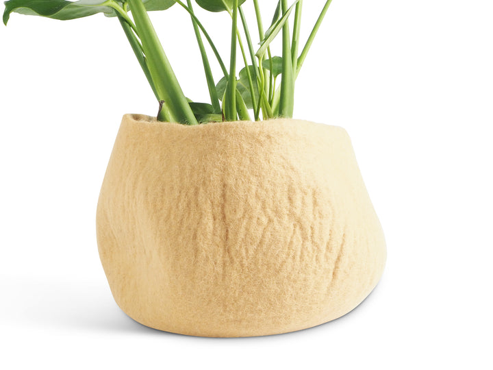 FLOWER POT 16, L