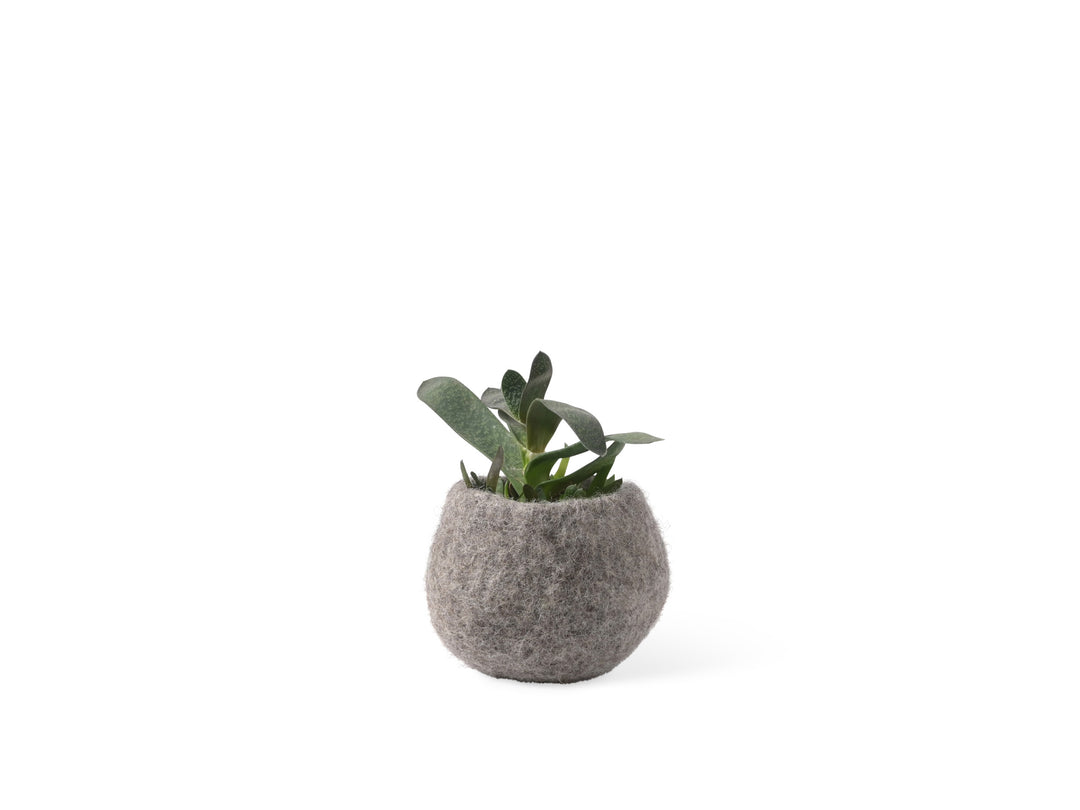 FLOWER POT 16, S