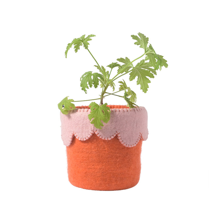 FLOWER POT 26