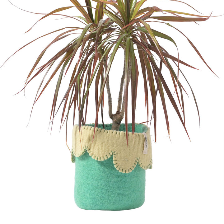 FLOWER POT 26