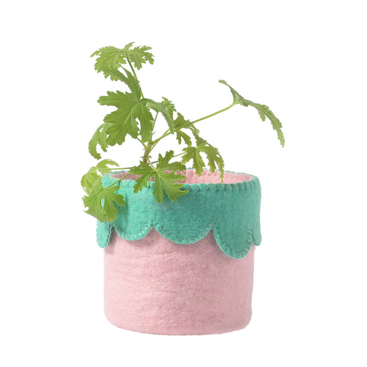 FLOWER POT 26