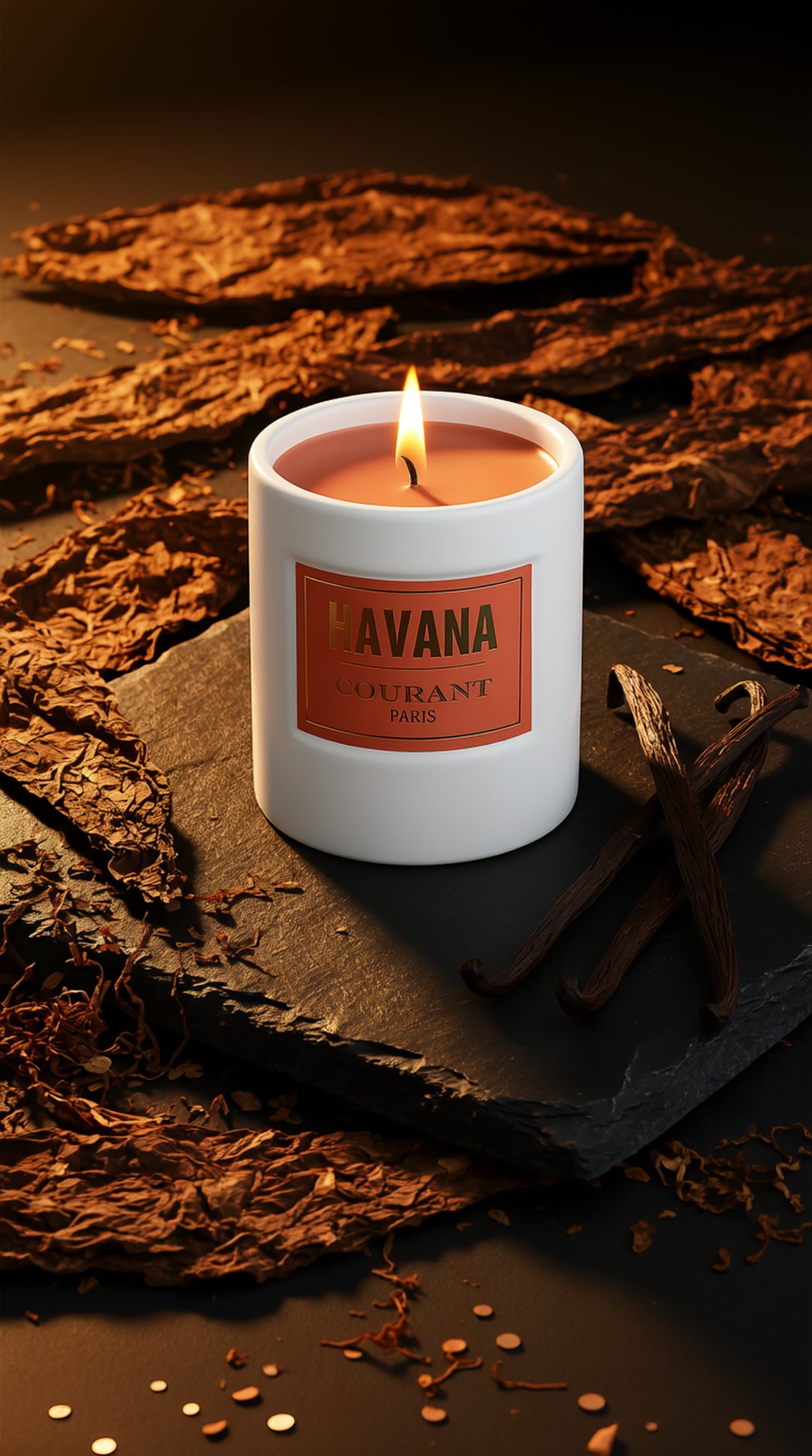 Scented Candle HAVANA 230g