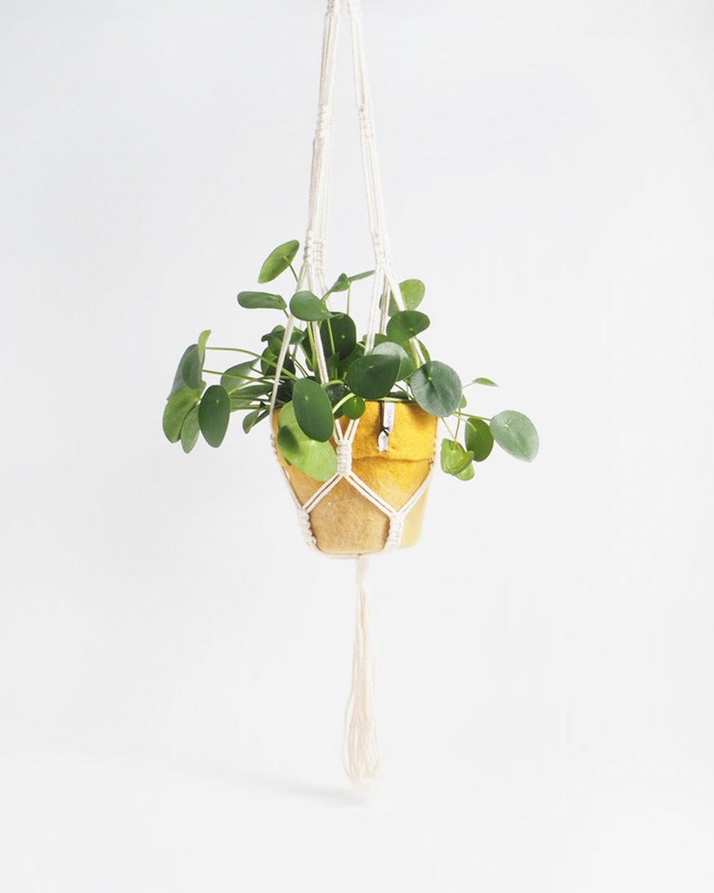 FLOWER POT HANGER, nature